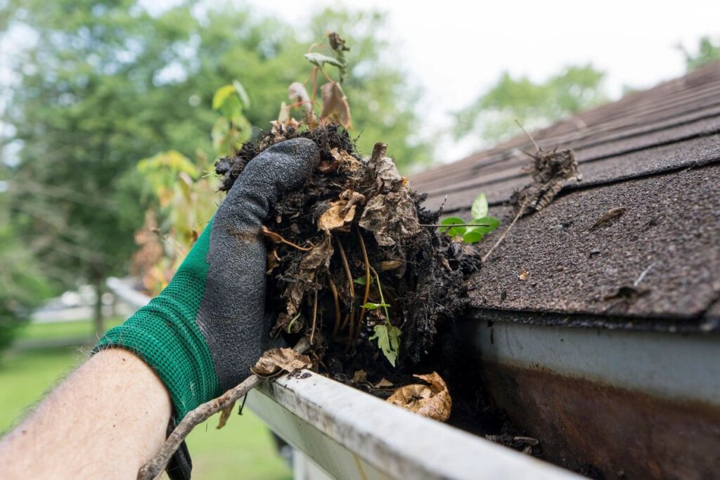 A person wearing gloves and holding a branch in the gutter.